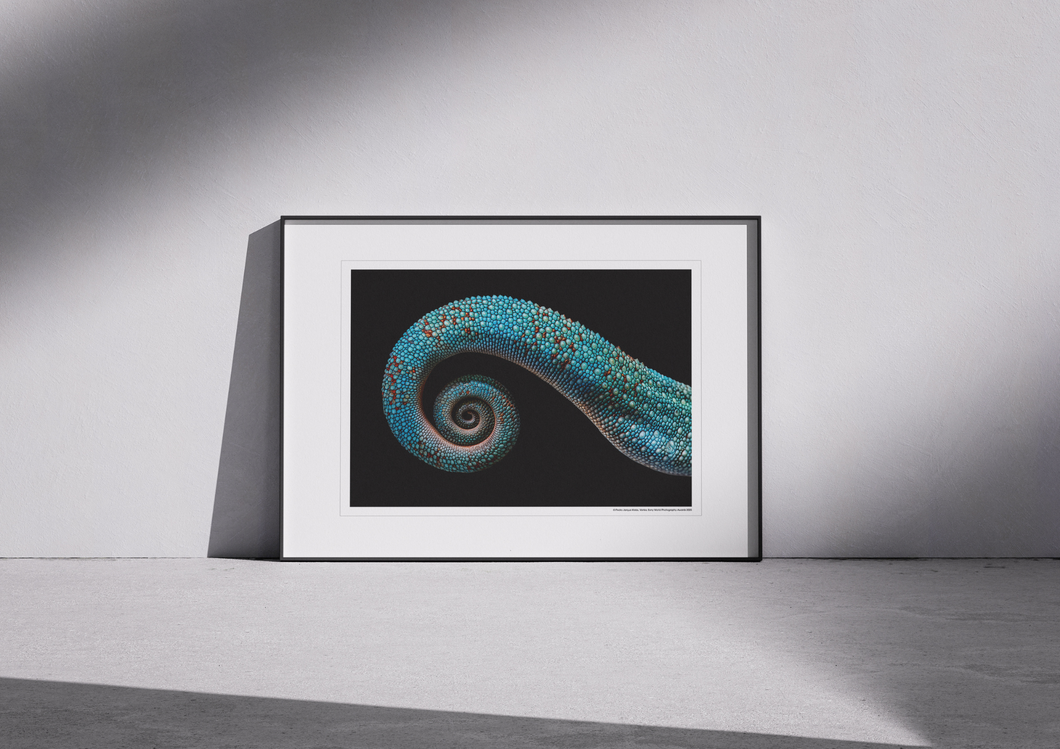 Limited Edition A3 Poster - Vortex by Pedro Jarque Krebs